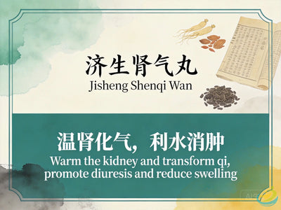 Ji Sheng Shen Qi Wan: Classic TCM Formula for Kidney Yang Deficiency with Edema & Water Retention HJMEDICAL