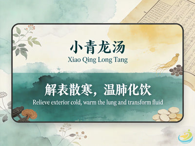 Xiao Qing Long Tang: Classic TCM Formula for Exterior Cold with Interior Water & Cough HJMEDICAL