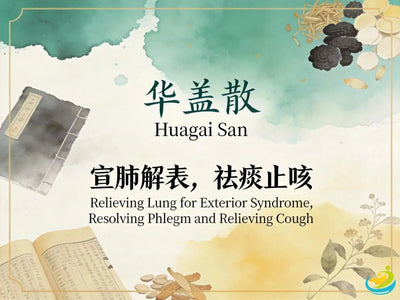 Hua Gai San: Classic TCM Formula for Exterior Wind-Cold with Cough, Phlegm & Wheezing HJMEDICAL