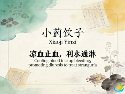 Xiao Ji Yin Zi: Classic TCM Formula for Bloody Urine, Heat in the Blood & Lin Syndrome HJMEDICAL