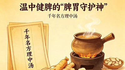 Li Zhong Tang: The Classic TCM Formula for Spleen-Stomach Cold Deficiency — Complete Guide HJMEDICAL