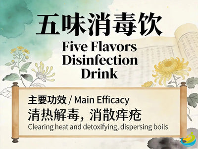 Wu Wei Xiao Du Yin: Classic TCM Formula for Heat Toxin, Boils, Carbuncles & Skin Infections HJMEDICAL