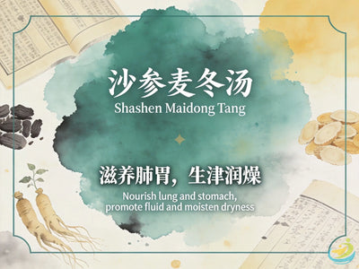 Sha Shen Mai Dong Tang: Classic TCM Formula for Lung & Stomach Yin Deficiency & Dryness HJMEDICAL