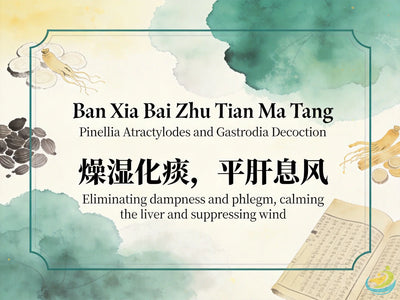 Ban Xia Bai Zhu Tian Ma Tang: Classic TCM Formula for Wind-Phlegm, Dizziness, Headache & Vertigo HJMEDICAL