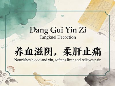 Dang Gui Yin Zi