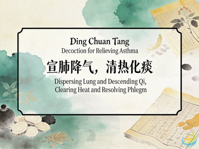 Ding Chuan Tang: Classic TCM Formula for Asthma, Wheezing & Phlegm-Heat in the Lungs HJMEDICAL