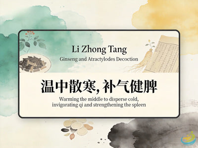 Li Zhong Tang: Classic TCM Formula for Spleen Deficiency, Cold & Diarrhea HJMEDICAL