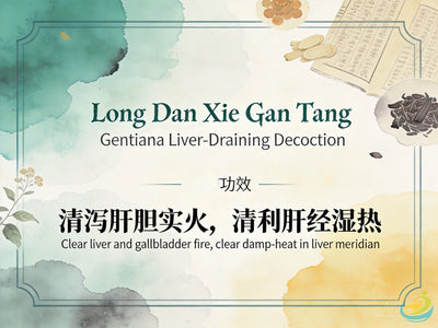 Long Dan Xie Gan Tang: Classic TCM Formula for Liver-Gallbladder Damp-Heat, Irritability & Hypochondriac Pain HJMEDICAL