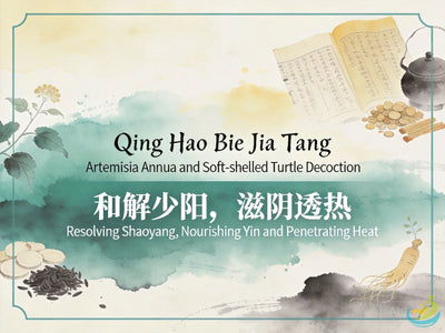 Qing Hao Bie Jia Tang: Classic TCM Formula for Residual Heat in Yin, Night Fever & Morning Coolness HJMEDICAL