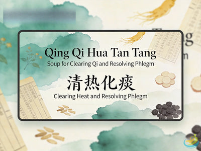 Qing Qi Hua Tan Tang: Clearing Heat and Transforming Stubborn Phlegm to Relieve Productive Coughs HJMEDICAL