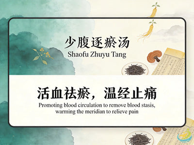 Shao Fu Zhu Yu Tang: Classic TCM Formula for Lower Abdominal Blood Stasis & Menstrual Pain HJMEDICAL