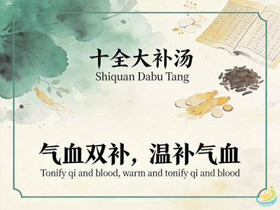 Shi Quan Da Bu Tang: Classic TCM Formula for Qi & Blood Deficiency with Cold HJMEDICAL