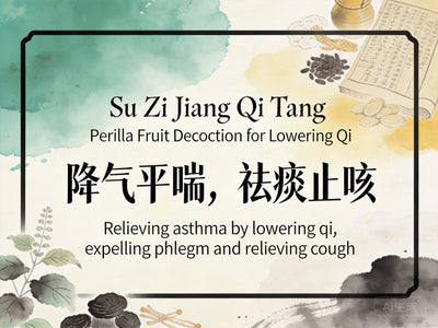 Su Zi Jiang Qi Tang