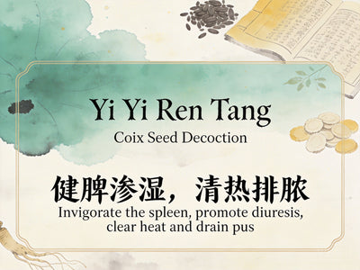 Yi Yi Ren Tang