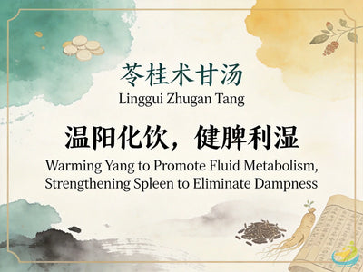 Ling Gui Zhu Gan Tang: Classic TCM Formula for Phlegm-Fluid Retention, Dizziness & Spleen Deficiency HJMEDICAL