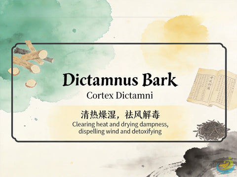 Bai Xian Pi Dictamnus Bark