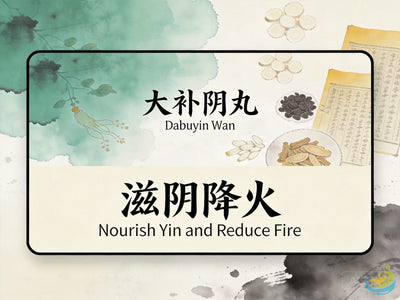 Da Bu Yin Wan: Classic TCM Formula for Yin Deficiency with Fire, Night Sweats & Steaming Bone HJMEDICAL
