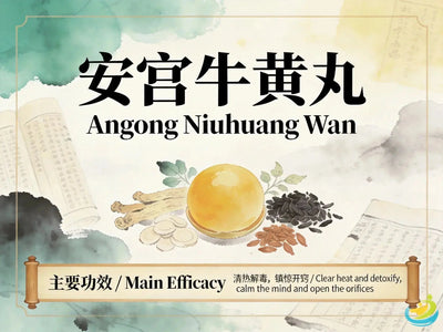 An Gong Niu Huang Wan: Classic TCM Emergency Formula for Heat Toxin Entering the Pericardium HJMEDICAL