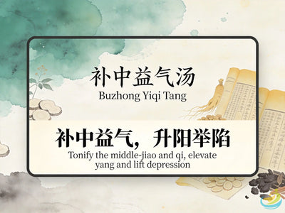 Bu Zhong Yi Qi Tang: Classic TCM Formula for Spleen Qi Deficiency & Middle Qi Sinking HJMEDICAL