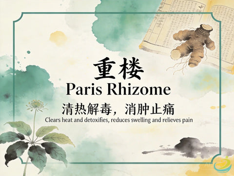 Chong Lou Paris Rhizome