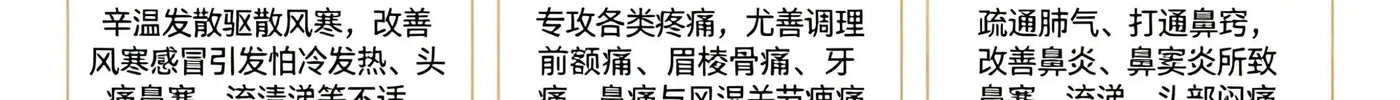 Bai Zhi (Angelica): The Aromatic TCM Herb for Wind-Cold Headache, Nasal Congestion and Pain Relief HJMEDICAL