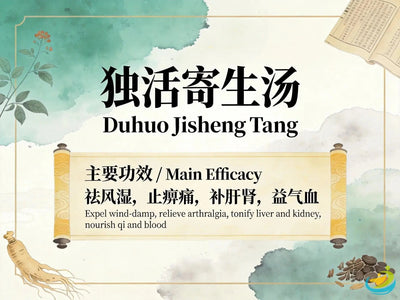 Du Huo Ji Sheng Tang: Classic TCM Formula for Chronic Bi Syndrome with Liver and Kidney Deficiency HJMEDICAL