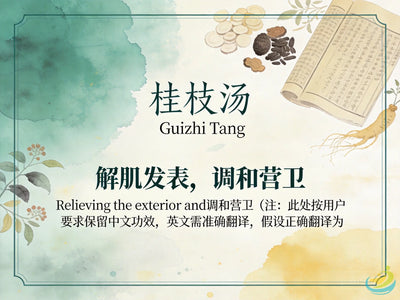 Gui Zhi Tang: Classic TCM Formula for Wind-Cold, Exterior Deficiency & Ying-Wei Imbalance HJMEDICAL