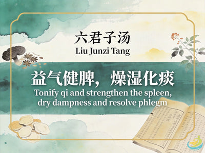 Liu Jun Zi Tang (Six Gentlemen Decoction): The Classic TCM Formula for Strengthening the Spleen and Resolving Phlegm HJMEDICAL