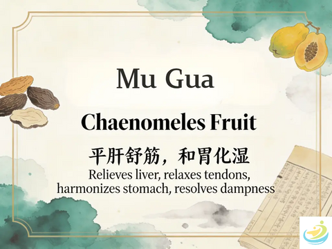 Mu Gua Chaenomeles Fruit