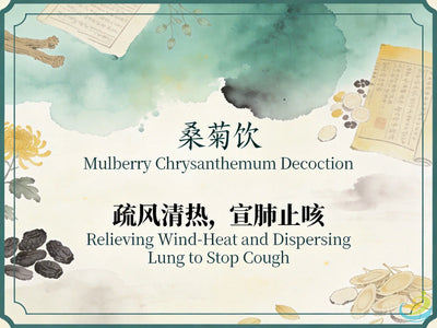 Sang Ju Yin: Dispelling Wind-Heat and Diffusing Lung Qi to Relieve Early Coughs and Sore Throats HJMEDICAL