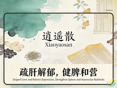 Xiao Yao San: Classic TCM Formula for Liver Qi Stagnation, Stress & Mood Balance HJMEDICAL