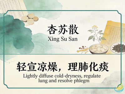 Xing Su San: Classic TCM Formula for Cool Dryness, Dry Cough & Lung Dryness HJMEDICAL