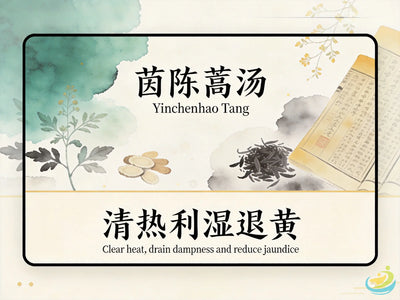 Yin Chen Hao Tang: Classic TCM Formula for Damp-Heat Jaundice & Liver-Gallbladder Issues HJMEDICAL