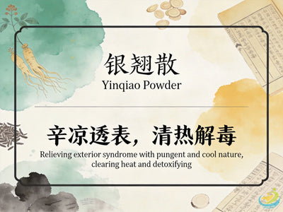 Yin Qiao San: Classic TCM Formula for Wind-Heat, Sore Throat & Early Stage Cold HJMEDICAL