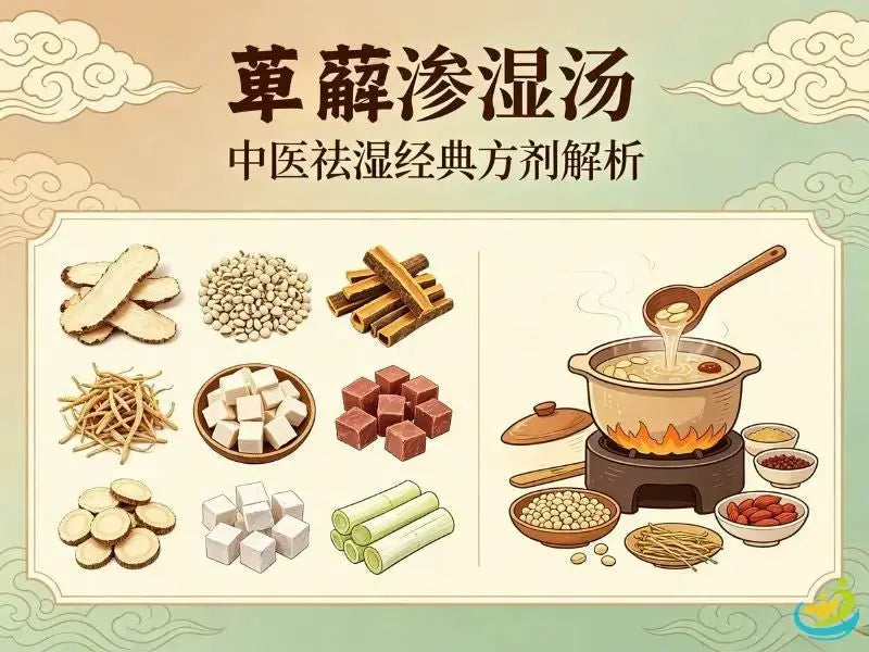 萆薢渗湿汤：清热利湿、治下焦湿热的经典方剂 HJMEDICAL