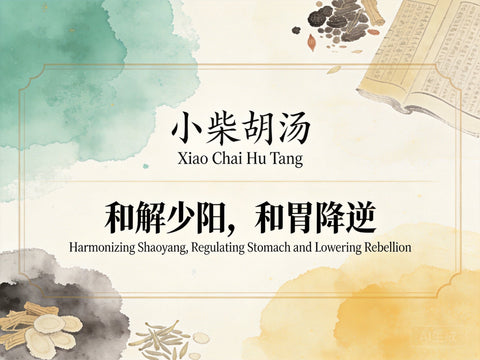 Xiao Chai Hu Tang
