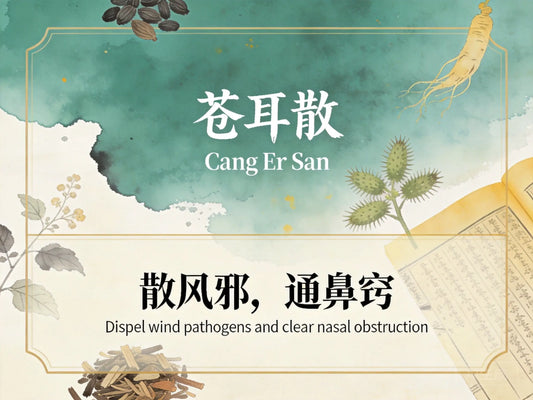 苍耳散：祛风通窍散寒，缓解过敏性鼻炎与慢性鼻窦炎反复鼻塞 HJMEDICAL