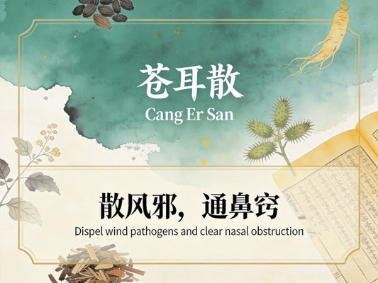 苍耳散：祛风通窍散寒，缓解过敏性鼻炎与慢性鼻窦炎反复鼻塞