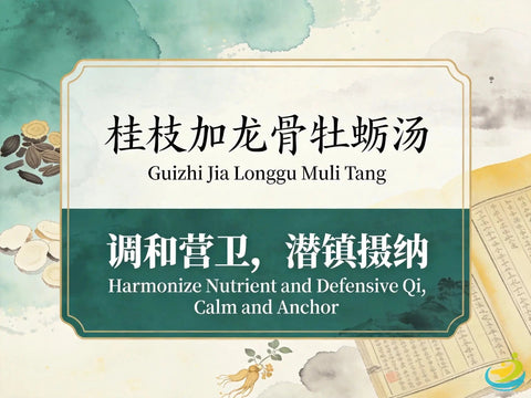 Gui Zhi Jia Long Gu Mu Li Tang: Cinnamon Twig Decoction with Dragon Bone and Oyster Shell for Restlessness and Insomnia HJMEDICAL