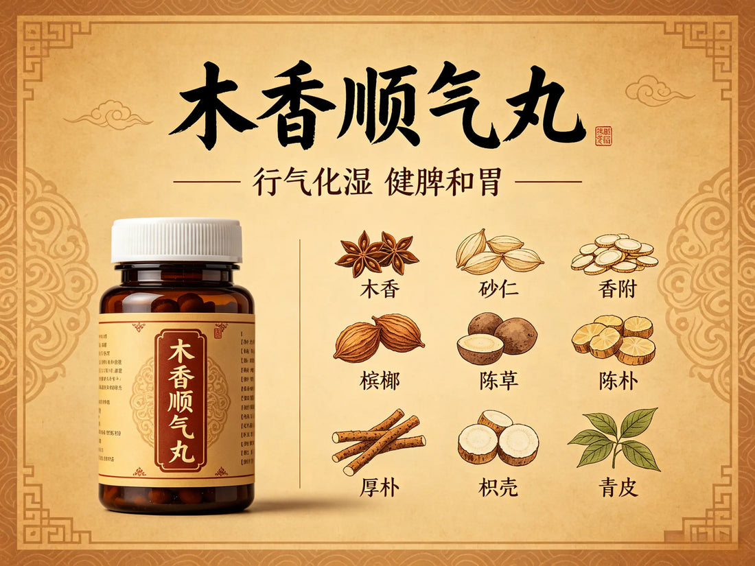 理气和胃化湿浊：中药方剂木香顺气丸全解析——方解、功效与临床应用详解 HJMEDICAL