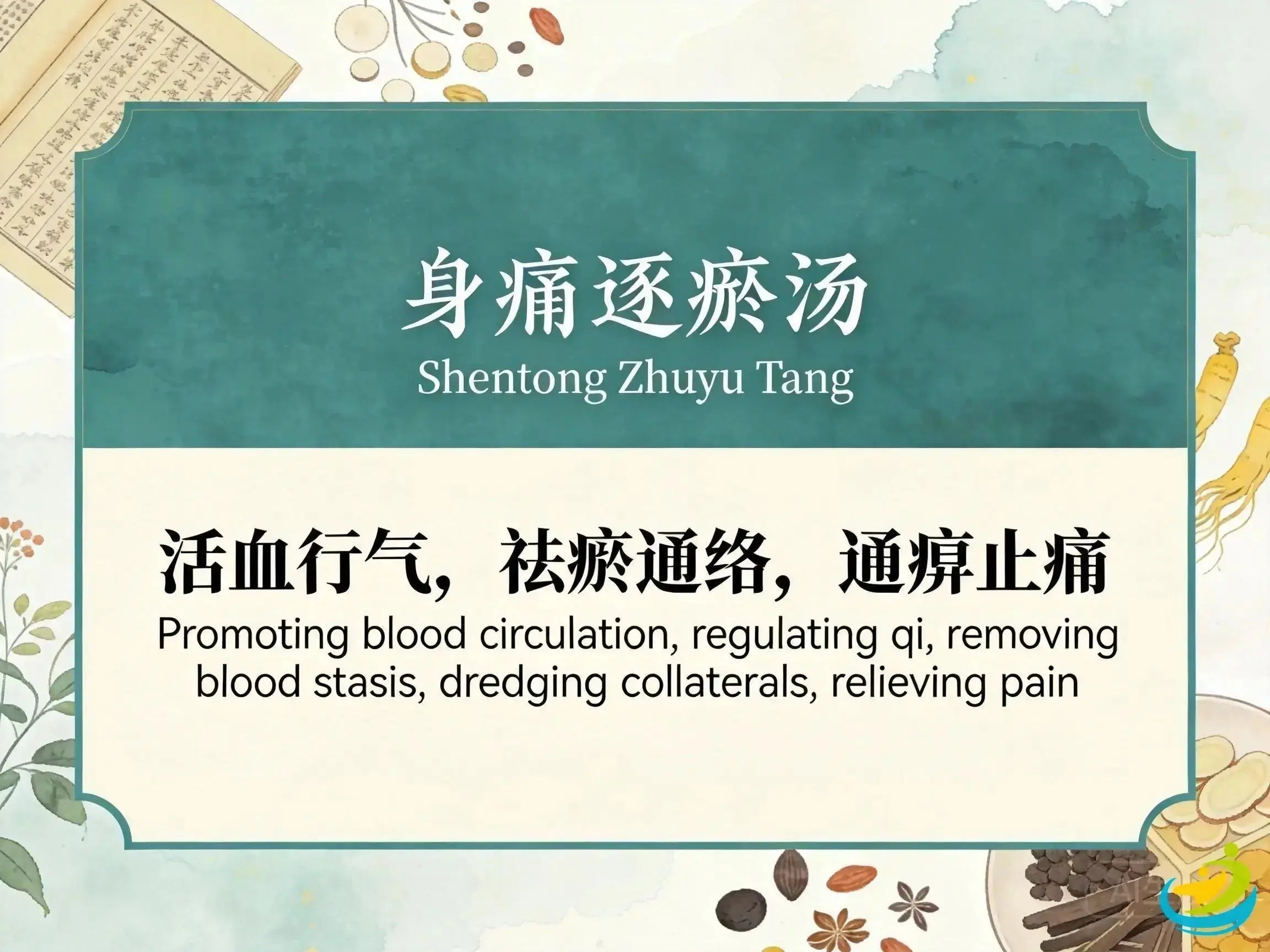 Shen Tong Zhu Yu Tang: Classic TCM Formula for Body Pain, Blood Stasis & Bi Syndrome HJMEDICAL
