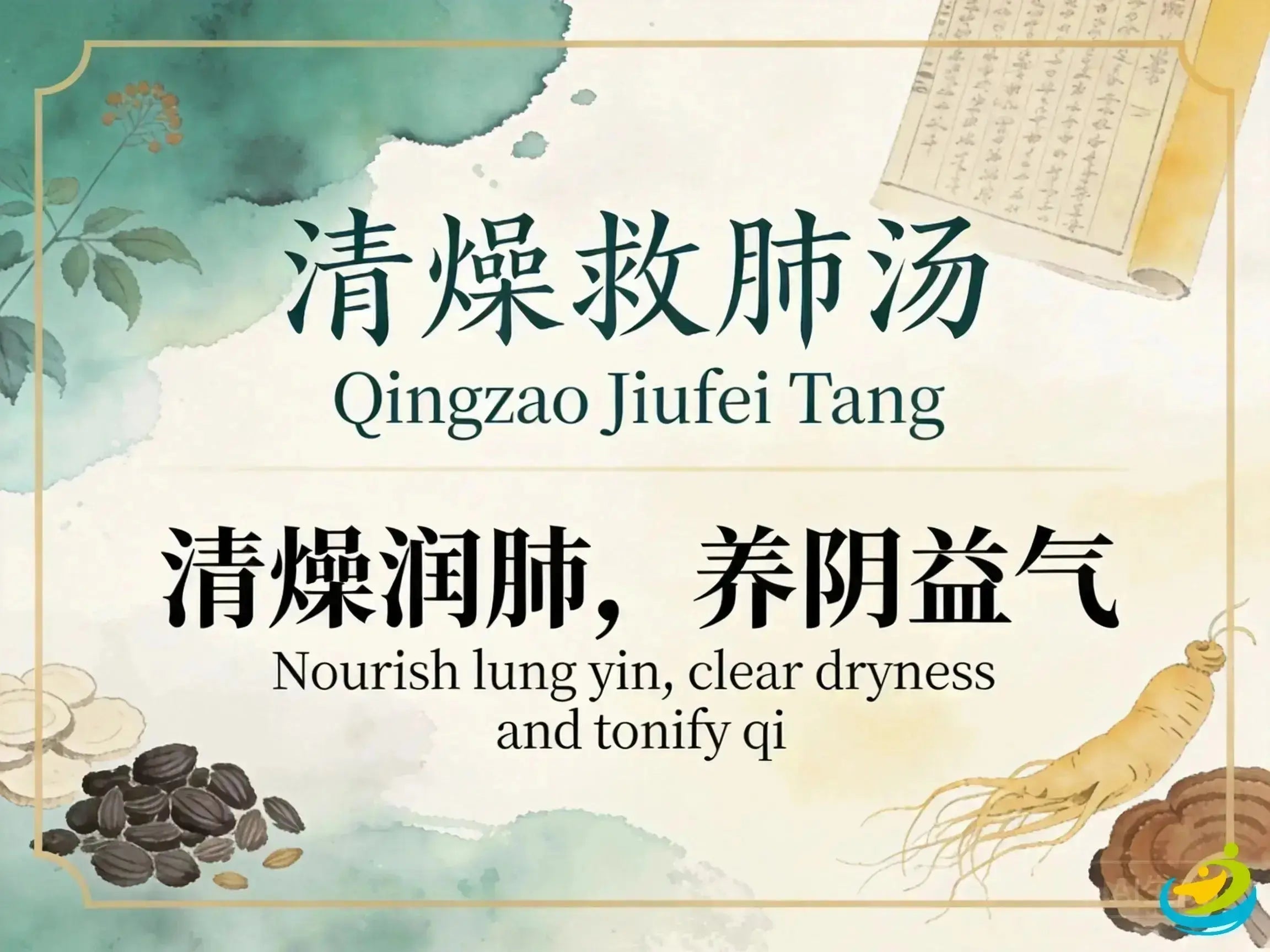 Qing Zao Jiu Fei Tang: Traditional Chinese Formula for Dry Cough and Lung Dryness HJMEDICAL