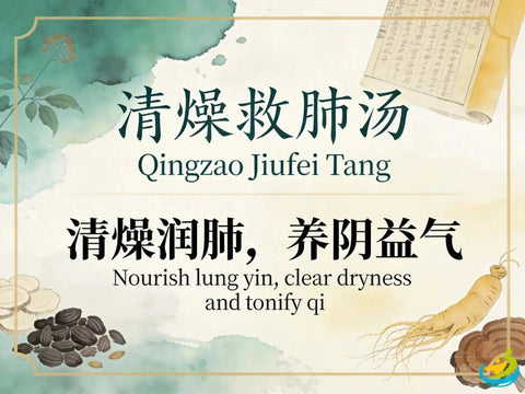 Qing Zao Jiu Fei Tang: Traditional Chinese Formula for Dry Cough and Lung Dryness HJMEDICAL