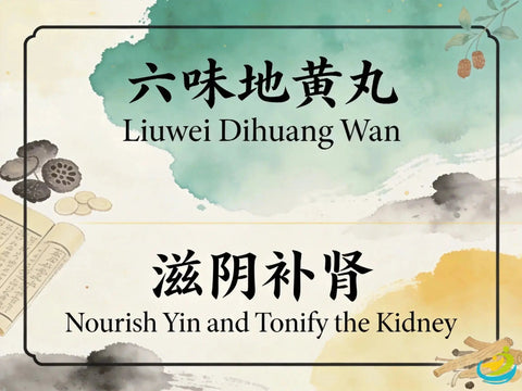Liu Wei Di Huang Wan: Classic TCM Formula for Kidney and Liver Yin Deficiency HJMEDICAL