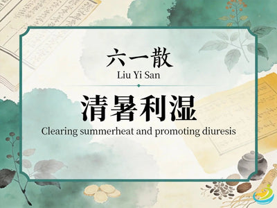 Liu Yi San: Classic TCM Formula for Summer-Heat, Thirst & Mild Dampness HJMEDICAL