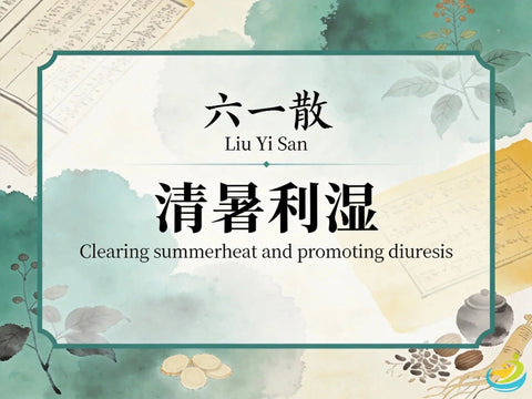 Liu Yi San: Classic TCM Formula for Summer-Heat, Thirst & Mild Dampness HJMEDICAL