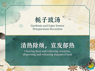 Zhi Zi Chi Tang: Classic TCM Formula for Residual Heat, Irritability & Insomnia After Febrile Disease HJMEDICAL