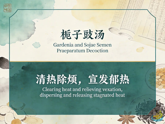 栀子豉汤：清热除烦宣郁透热，缓解失眠烦躁与焦虑情绪困扰 HJMEDICAL