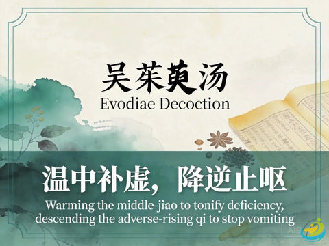 Wu Zhu Yu Tang: Evodia Decoction for Vomiting, Cold Limbs, and Headache HJMEDICAL