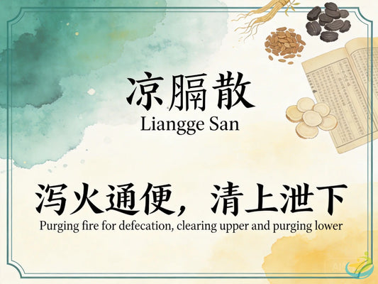 凉膈散：泻火通便清热解毒，改善口腔溃疡与痤疮反复发作 HJMEDICAL